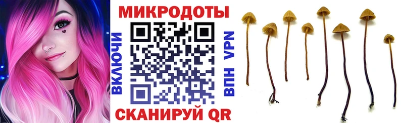 Псилоцибиновые грибы мицелий  Сураж 