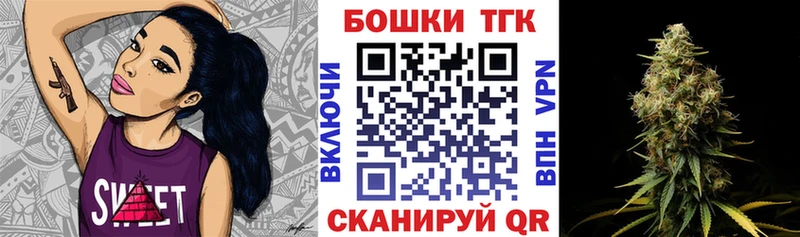 как найти закладки  Сураж  Каннабис сатива 
